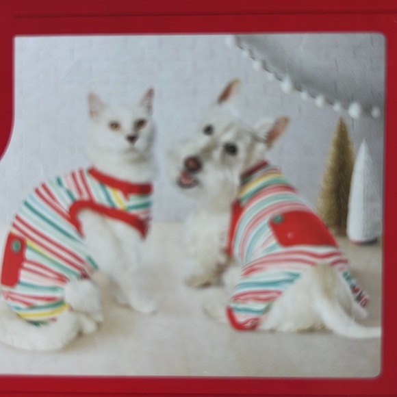 🆕 🌈 NEW! Wondershop Colorful Striped Pet Pajamas - Size XS 🐈 - Picture 3 of 5